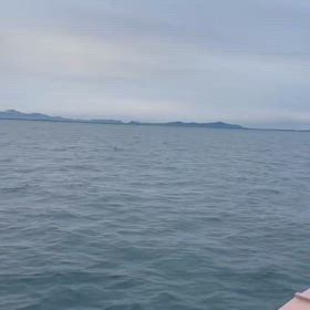 beginner's luck！！！！の画像