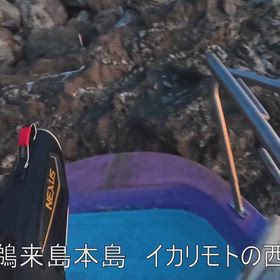 鵜来島の画像