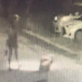 電柱じゃなく、人の敷地内。の画像