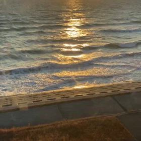 プリーズ。(記事題名変更しました！)2025/01/30の画像