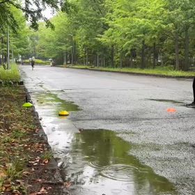 全国大会リレー選考会（ゴール）③の画像