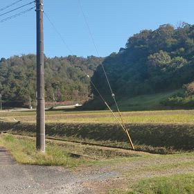 疲れが取れなかった先週末…　まだ暑さが残る月曜…　　(；・∀・)　ﾓｳ　ｴｴｯﾃ！の画像