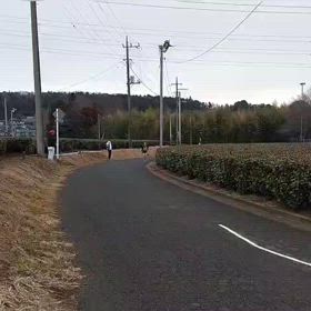 駅伝（坂頂点）②の画像