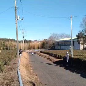 東金子駅伝（坂ダッシュ）㉒の画像