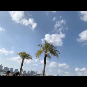 お台場エフカイビーチの画像