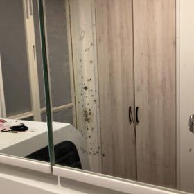 20250904 プロアドバイスの画像