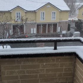 ３月もあと少しなのに。の画像