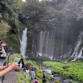 マイナスイオン✨️の画像