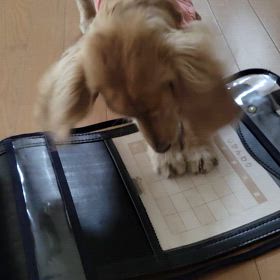 お兄ちゃんのランドセル(♡ºัºั♡)の画像