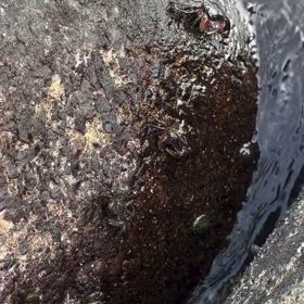 ダブルなんて最高やんの画像