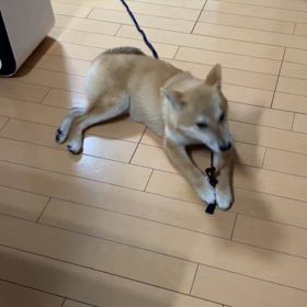 え〜と　そっちではの画像