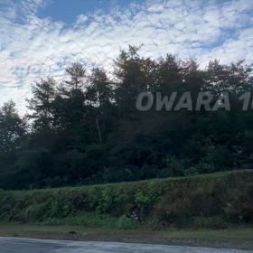 2024年10月14日（月）のおわらサーキットの画像