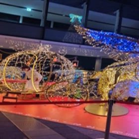 クリボッチです！クリスマスイブ❢の画像