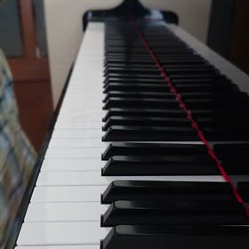 【手小さい英ポロ主婦】「とんだタイムロス！手がサバ臭い」カンパネラ超絶技巧練習の画像