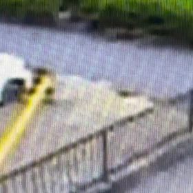 草抜いたら、うしろへポイ。絶対に持ち帰らない。の画像