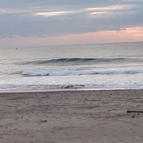 ソウルだぜの画像