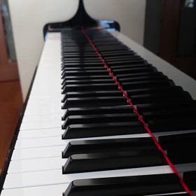 56歳主婦が挑む。朝練【ラ・カンパネラ】【英雄ポロネーズ】の画像