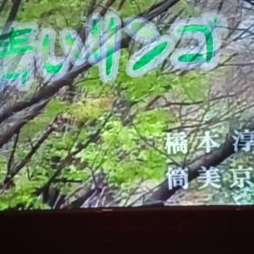 青いリンゴ/野口五郎（1972年）の画像