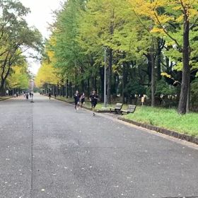 11/14 1500タイムトライアルの画像