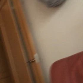 キャットウォークの降り方はにゃんこそれぞれ…の画像