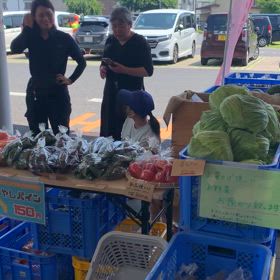 &green market動画の画像