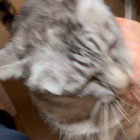 2024/06/08      シャイなあんずの画像