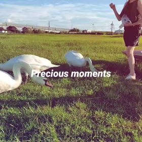 愛してるって、凄い。の画像