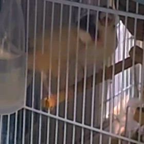 不安とはの画像