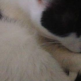 おはよう(*^o^*)の画像