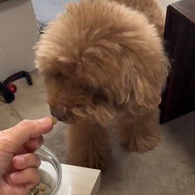 育て方を間違えたかもしれないの画像