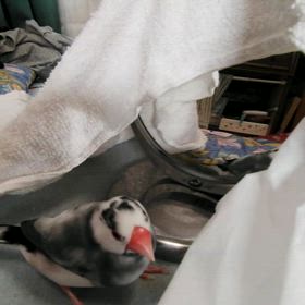 ☆皮膚科外来診療の画像