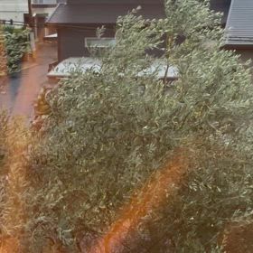 ワタシってどんな人だっけ？自分を取り戻す毎日ブログの画像