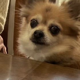 笑いたい人 見て(◍´͈ꈊ`͈◍)の画像