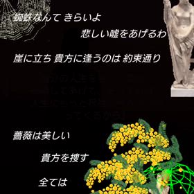 詩 白い蜘蛛が棲む家 ⚓️ 2025-03-15 Instagram Reelsの画像