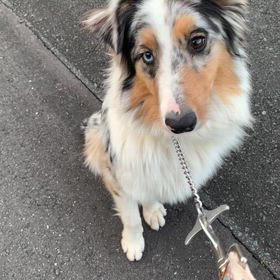 うちの子バケバケの画像