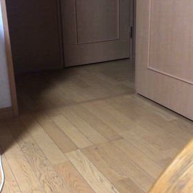 同じ話をする認知症の母。デールにゃんとマリーにゃん。の画像