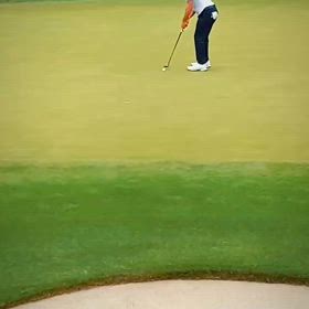 最後のZOZOチャン。の画像