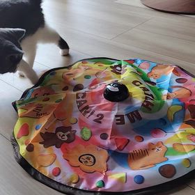 キャッチミーイフユーキャン2の画像