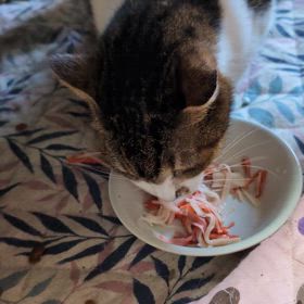 何でも良いからの画像