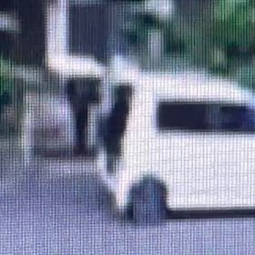 車で投棄の画像