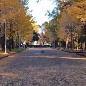 県駅伝最終選考会（スタート）②の画像