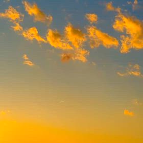 冷たい風とムギの画像