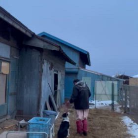 お渡し前　北海道の画像