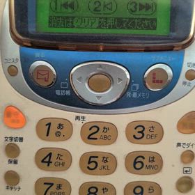 参議院選のオートコール！！の画像