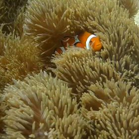 決まるで〜の画像