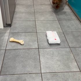 洸太朗の学び？の画像