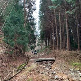 キャニオンとヒルクライムどーがの画像