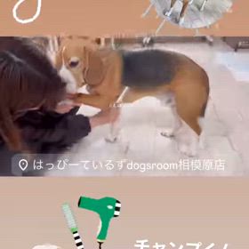 他力本願の画像