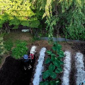今日の一食 秋野菜の画像