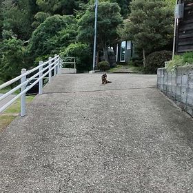 ゆったりと過ごす定休日の画像